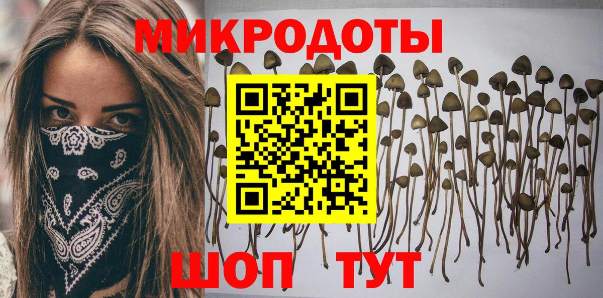 Галлюциногенные грибы Psilocybine cubensis Ефремов