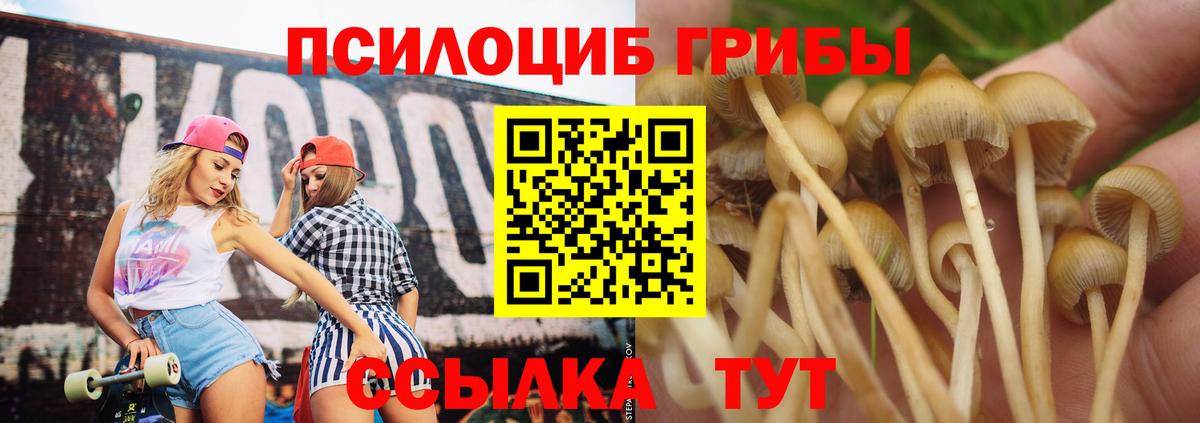 Ефремов  Галлюциногенные грибы Psilocybe  Вход с VPN  Галлюциногенные грибы Magic Shrooms 