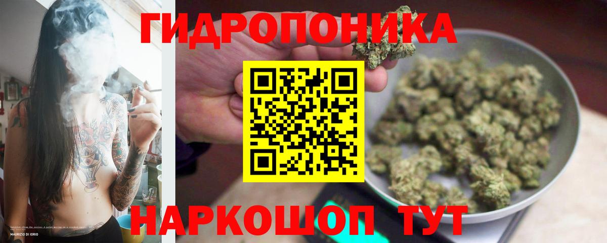 Каннабис Amnesia  Канабис OG Kush  Вход с VPN  Ефремов  Канабис White Widow 